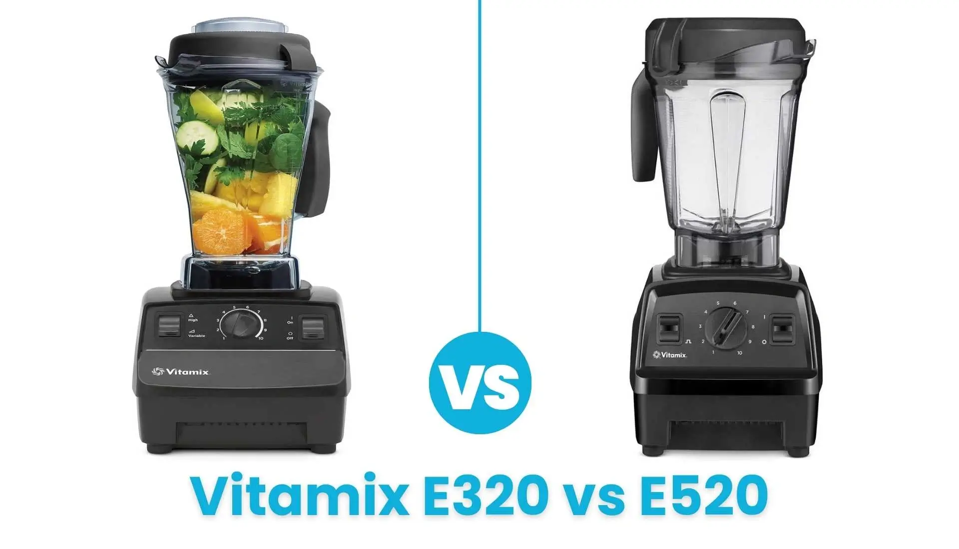 Vitamix E320 vs E520