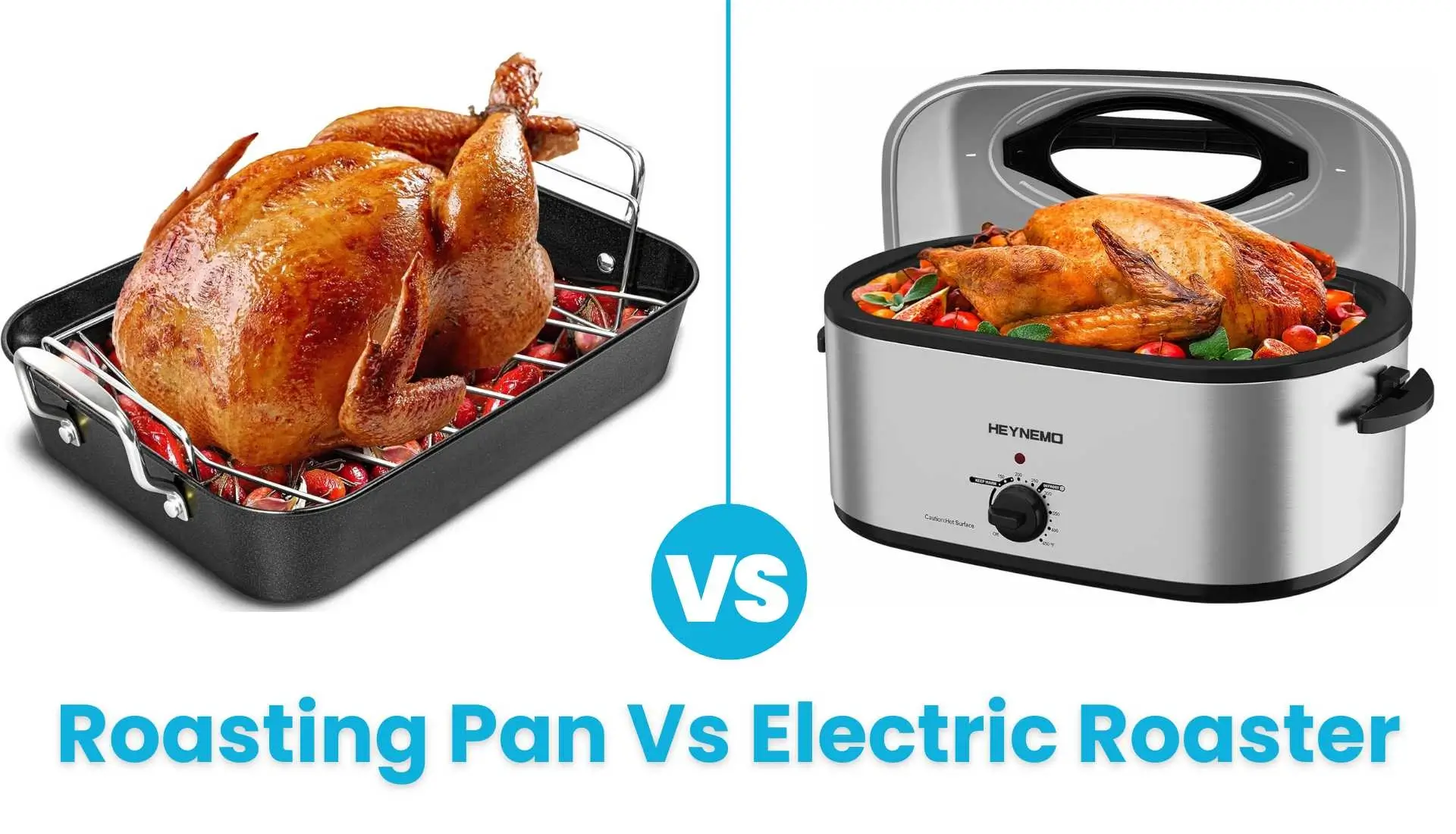 Roasting Pan Vs Electric Roaster